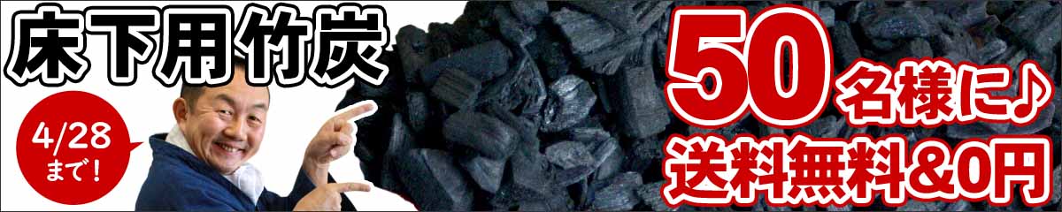 【先着50名様プレゼント】送料無料!住宅床下用竹炭(約10g)