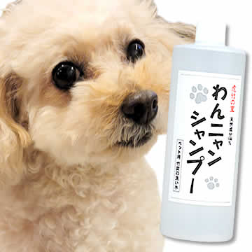 竹のペット用品