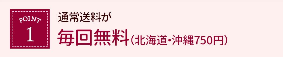 毎回送料無料（北海道・沖縄750円）