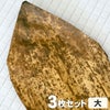 国産竹皮 3枚組 大