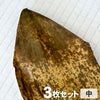 国産竹皮 3枚組 中