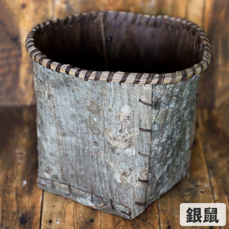 一点限り】森の恵み サワグルミ丸籠 | 虎斑竹専門店 竹虎