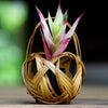 虎竹花籠 手付き四海波（豆）